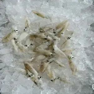 국내산 횟감용 생물 호래기 200g 500g 1kg 꼴뚜기 자연산 당일조업 회 무침 볶음 찜