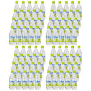 시그너스 청포도 탄산수 스파클링워터 PET 500ml (80개) 제로 칼로리 샤인머스켓 대량 구매