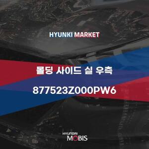 [현대모비스]몰딩 사이드 실 우측 (877523Z000PW6) 현대모비스부품몰