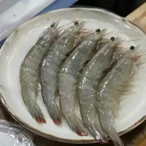 국내산 횟감용 활 흰다리 새우 500g 1kg 생물 생새우 회 찜 튀김 제철 별미 캠핑 대하 소금 버터 구이