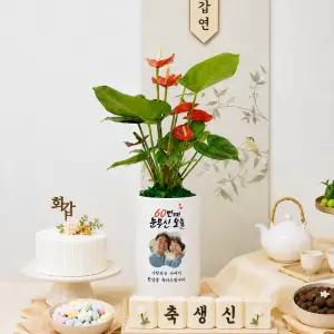 생신선물 환갑 칠순 팔순 이벤트 축하화분 사진인쇄화분 포토존