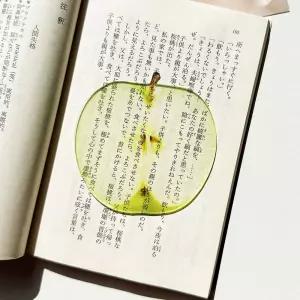 김창작연구소 과일책갈피 북마크 독서템 독서용품 반투명 예쁜