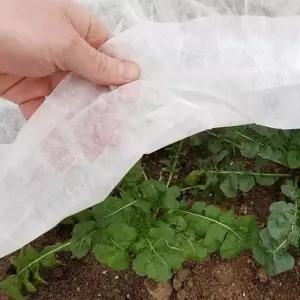 농업용 부직포 50g 보온 서리방지 못자리용 소량판매 원예부자재 농사용 Tr-4ADE6