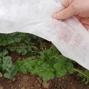 농업용 부직포 50g 보온 서리방지 못자리용 소량판매 농사용 원예부자재 Y-4768E