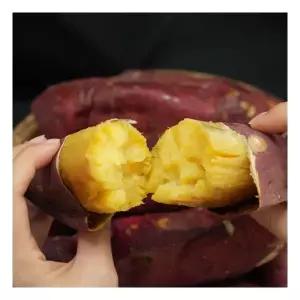 착한식탁 해남 꿀고구마 10kg 대왕