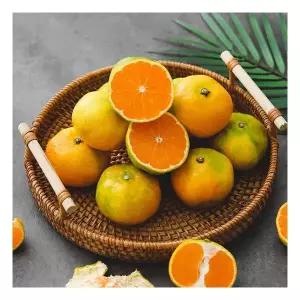 선별배송 제주 노지 감귤 4.5kg 소과 2S-3S