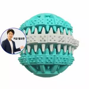 지금 필요한 반려견 스몰 장난감 강아 덴탈 토이 케어