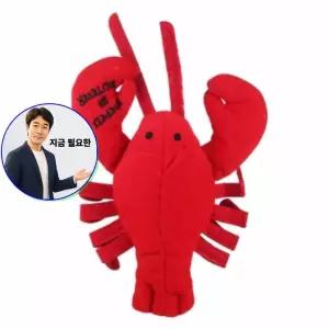지금 필요한 1P 가재 인형 강아 삑삑이 장난감 흥미유발 반려견