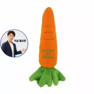지금 필요한 장난감 1P 토이 반려견 삑삑이 당 바스락 강아