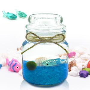 마리모 고래스몰자 세트 DIY 수상식물 어항장식