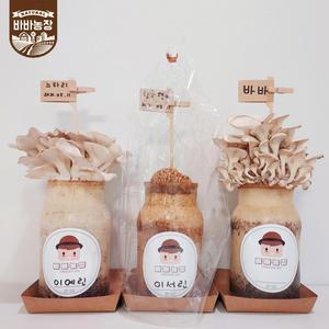 바바농장 표고 고기 느타리버섯 키우기 재배 키트 버섯배지 어린이집 어린이 체험키트 키우기