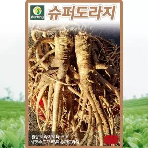 다농 슈퍼도라지 씨앗 5g 다수확 도라지씨 약초 종자