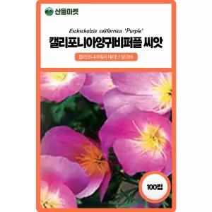 산들마켓 퍼플 캘리포니아 양귀비 꽃씨앗 100립 정적인 보라빛 이년생 꽃씨 종자