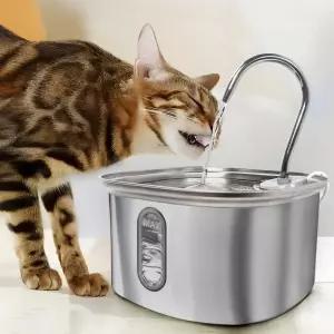 잼피 고양이 강아지 자동 급수기 정수기 3L 반려견 애견 반려동물 애완견