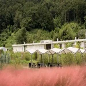 [충북 펜션] 보은 일상화 글램핑 (보은,옥천,괴산,증평,영동)