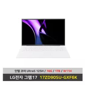 LG전자 그램17 노트북 17ZD90SU-GXF6K Ultra5 SSD1TB교체+16G변경+Win11설치 무선마우스+마우스패드 - KW