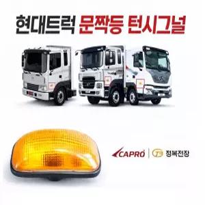 대성부품 현대트럭 문짝등 24V 사이드램프 메가 EG5톤 뉴파워텍 트라고 파워텍 파비스 턴시그널 미등 깜박이 3P 2P 선택 화물차 대형트럭 윙바디 탑차 덤프 카고 추레라 트레일러 교체용