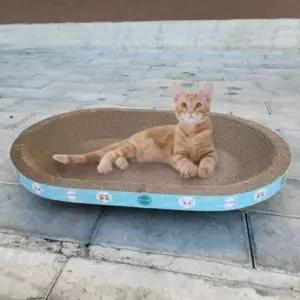 고양이 특대형 B골 스크래쳐 타원형65cm MAX