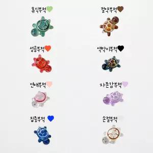 행운 거북이 금부기 오로라 파트 1세트 8마리