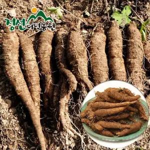 정선더덕농원 6년근 생더덕 1kg (중-35뿌리내외)