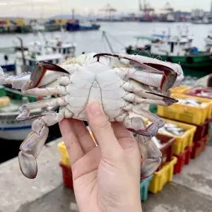 국내산 서해안 냉동 숫꽃게 1kg