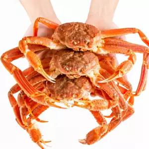 국내산 제철 자숙 손질 홍게
