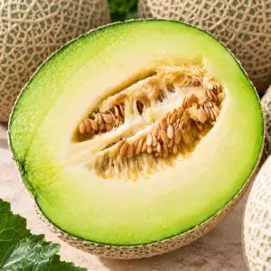 국내산 고당도 머스크멜론 머스크메론 / 특대과 5kg 내외 (2수)
