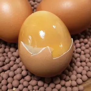 저온숙성 무정란 구운계란 중란 30구
