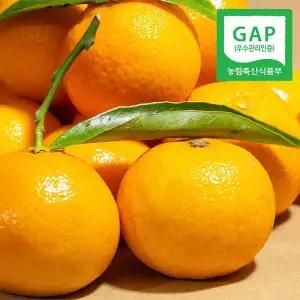 [NS홈쇼핑][GAP인증] 제주직송 웰굿 저농약 감귤 10kg(2L,대과,못난이)[36255189]