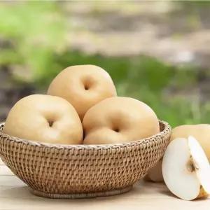나주 신고배 가정용 선물용 선물세트 3kg