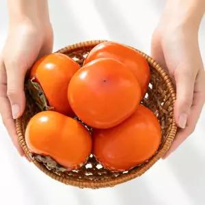 씨없는 청도반시 연시 약시감 홍시 2.5kg