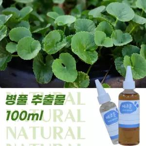 병풀 추출물 원액 100ml