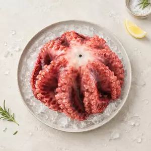 필리핀 냉동 자숙 문어 손질문어 (150g-700g) x 4마리