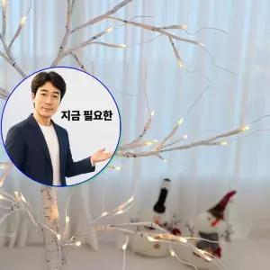 지금 필요한 LED 전구 크리스마스 자작나무 트리 크리스마스조명 장식 -180cm