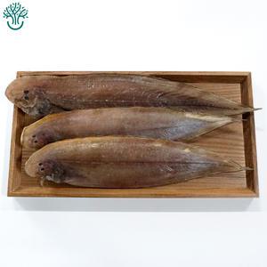 삼천포 용궁수산시장 반건조 서대 3미