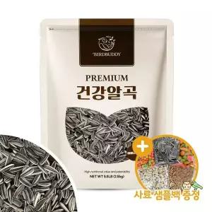 [하프클럽/올펫몰]대용량 건강알곡 해바라기씨 2.5kg 소동물 앵무새간식
