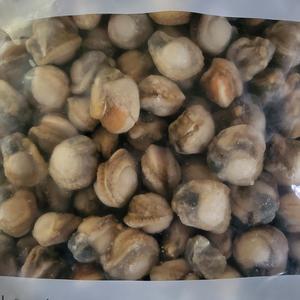 냉동 가리비살 10kg 순살가리비 대용량 식자재 업소용