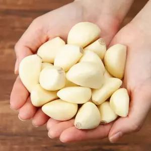 창녕 깐마늘 1kg