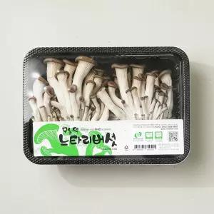 느타리버섯 기획 팩