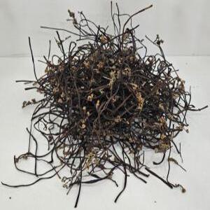 국내산 건고사리 50g , 홍천군산림조합