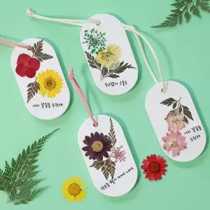 향기나는 압화 꽃 드라이플라워 석고방향제 diy 만들기 4인 키트