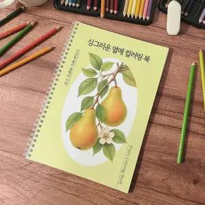 싱그러운 열매 컬러링 북 도안 어르신 색칠공부 색칠하기 어른 성인취미 책 컬러드로잉 시니어 학습지