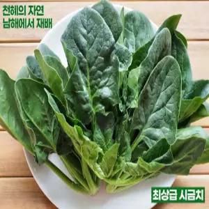 [GSKM] 남해 보물초 시금치 1kg