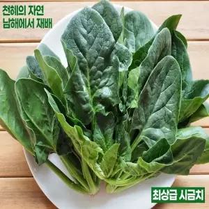 [GSKM] 남해 보물초 시금치 1kg