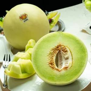 오리지널 왕관 허니듀 고당도 멜론 특대과 3kg 내외, 1수/2수