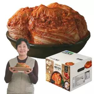 홍여진의 고향애 명품김치 10kg 배추 포기김치 아이큐샵