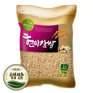 현미찹쌀 5kg (국내산) / 2026년 햅쌀 185974