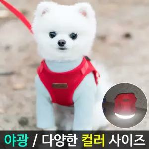 미즈펫 강아지 하네스 가슴줄 리드줄 레드