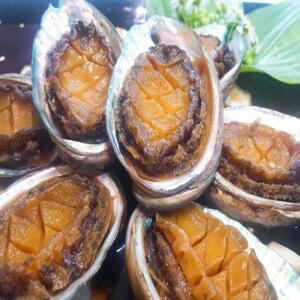 삼복호 전복장 1kg(7~8마리)