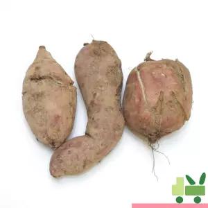 호박고구마 5Kg (파지)